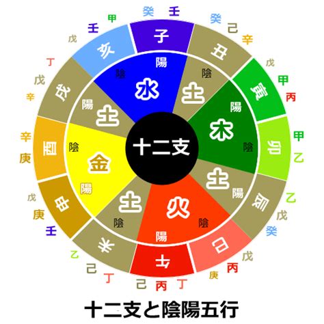 地支五行陰陽